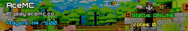 AceMC - Minecraft Server v1.21.5 | Join Us in the USA!