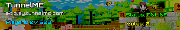 TUNNELMC - Minecraft Server v1.21.4 | Jouez aux États-Unis!